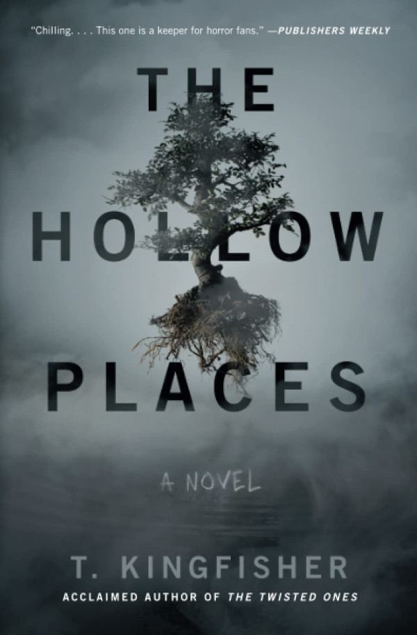 The Hollow Places book cover