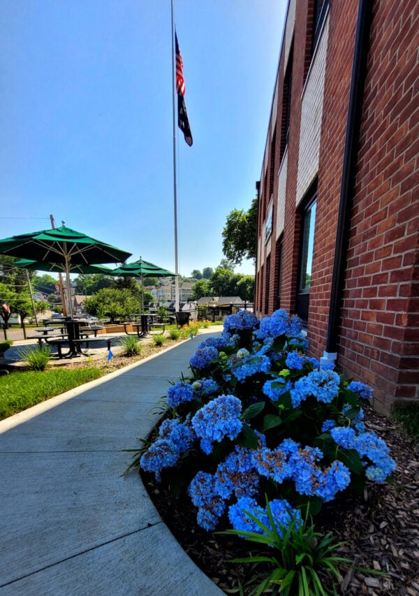 View of the path across the West Harrison garden.