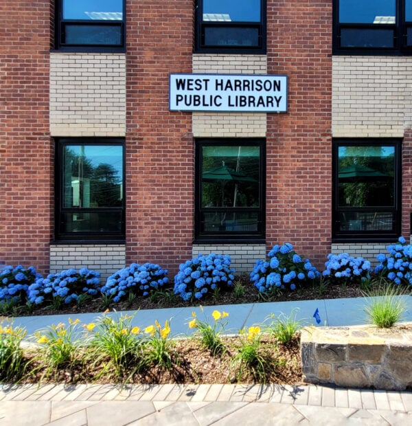 Flowers along the West Harrison garden path.