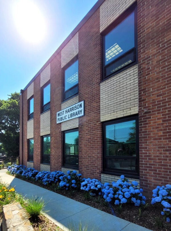 Flowers alongside the garden path adjacent to the West Harrison Branch.
